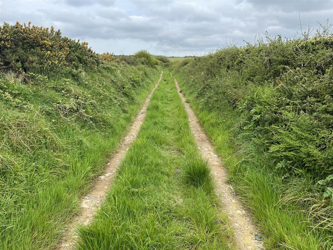 Formerly Part Of Priskilly Fawr, Haverfordwest, SA62