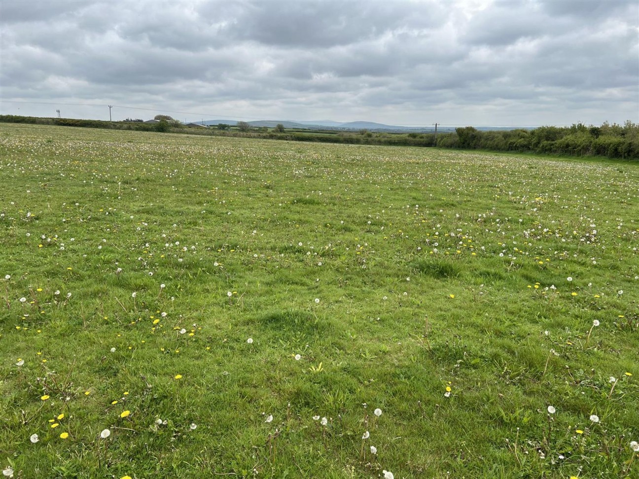Formerly Part Of Priskilly Fawr, Haverfordwest, SA62