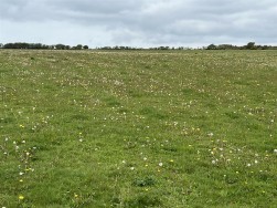 Formerly Part Of Priskilly Fawr, Haverfordwest, SA62