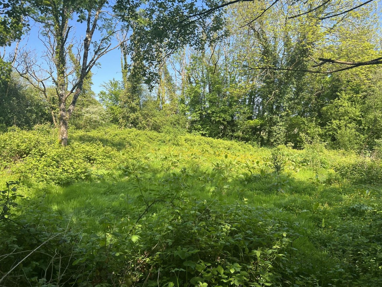 Login, Whitland, SA34