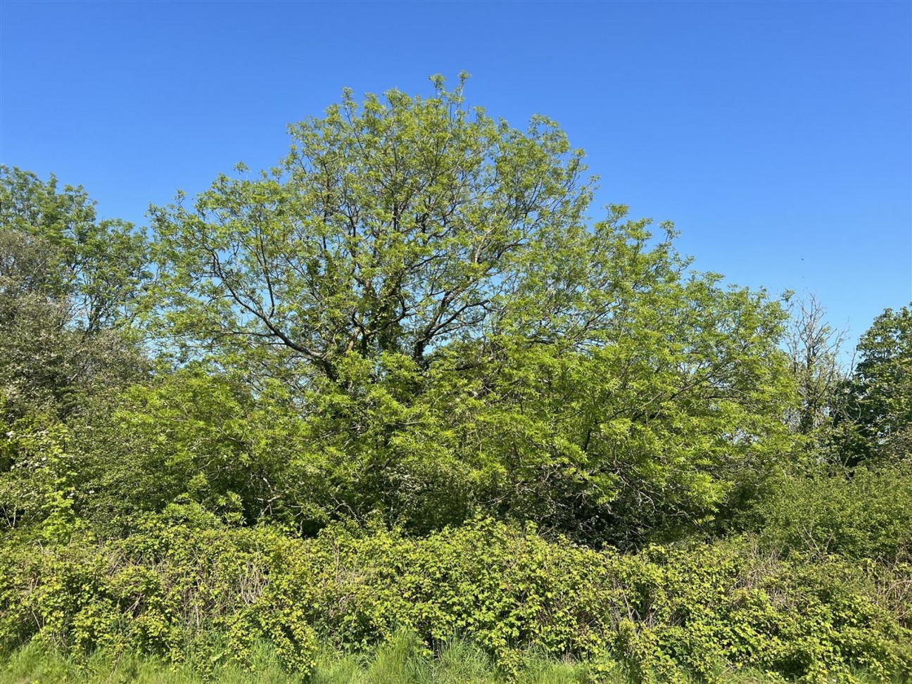 Login, Whitland, SA34