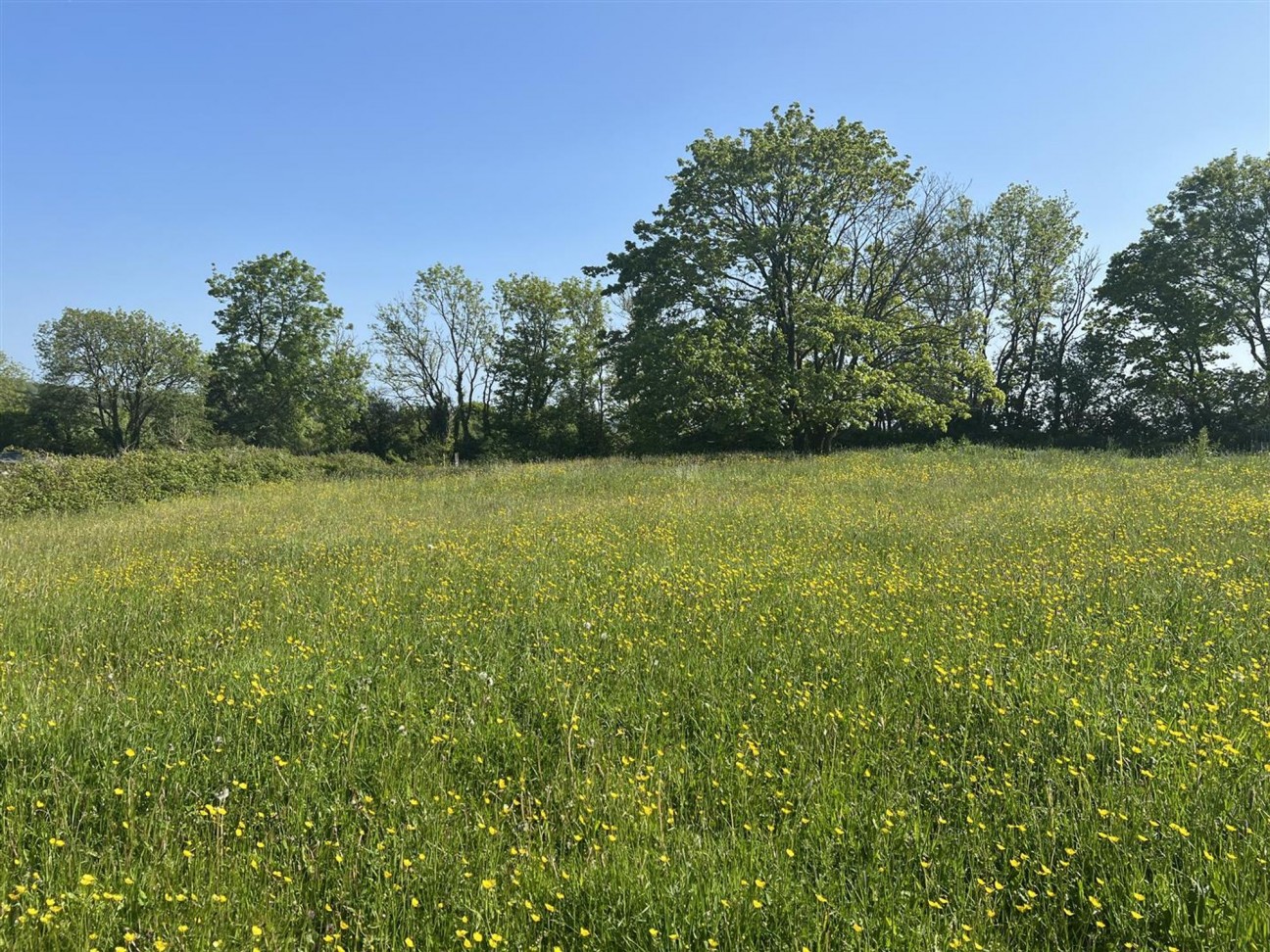 Login, Whitland, SA34