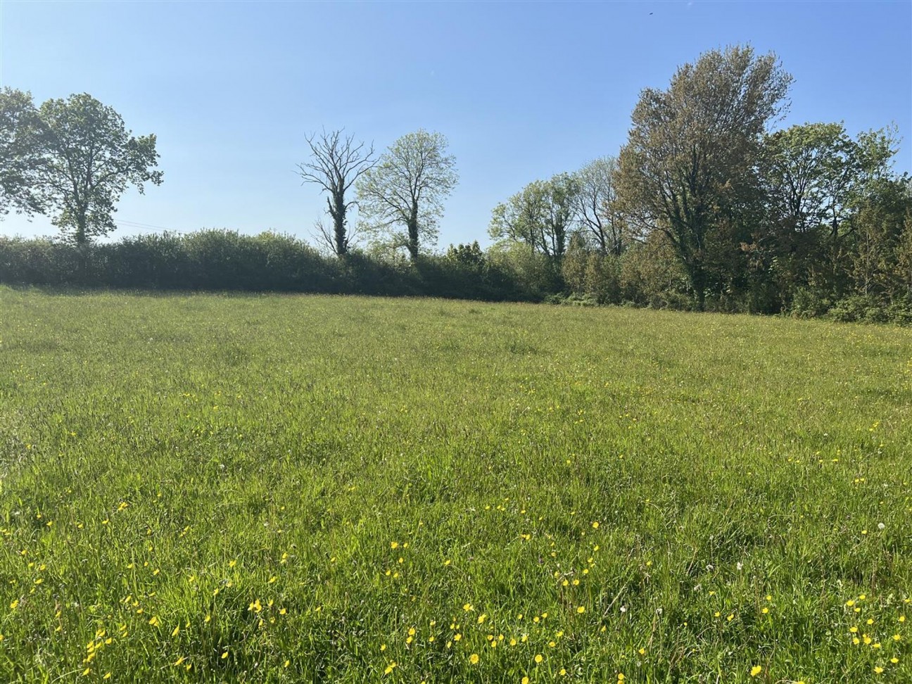 Login, Whitland, SA34