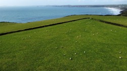 Nolton Haven, Haverfordwest, SA62