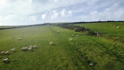 Nolton Haven, Haverfordwest, SA62