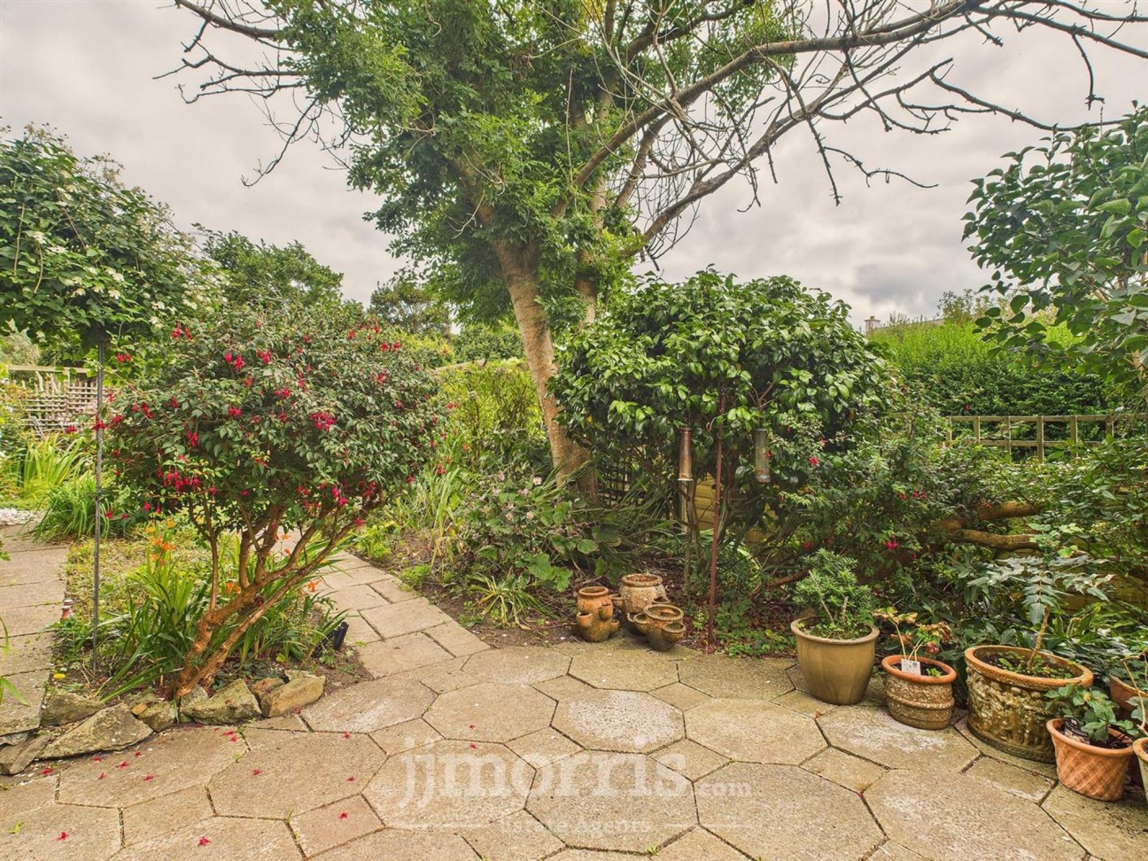 New Street, St. Davids, SA62