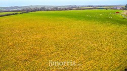 Walwyns Castle, Haverfordwest, SA62