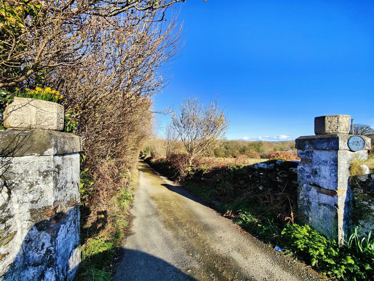 Brynberian, Crymych, SA41