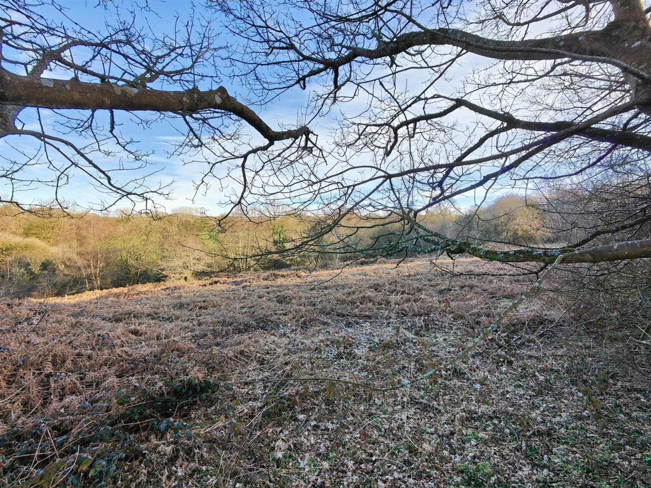 Brynberian, Crymych, SA41