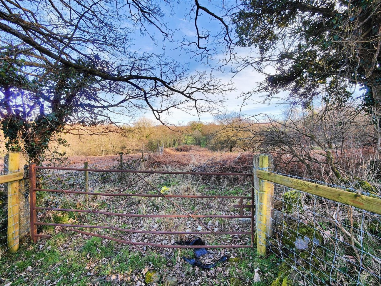 Brynberian, Crymych, SA41