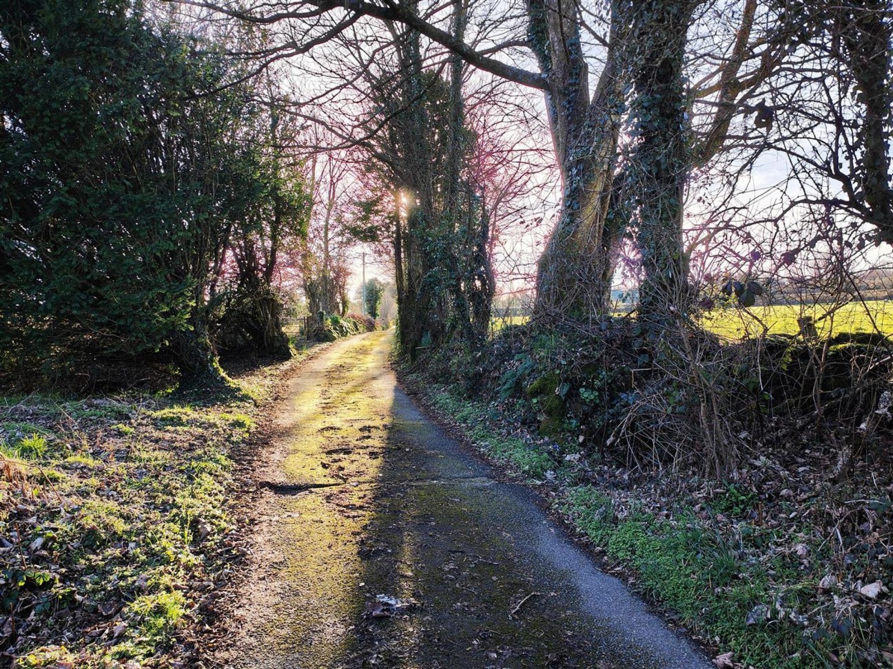 Brynberian, Crymych, SA41