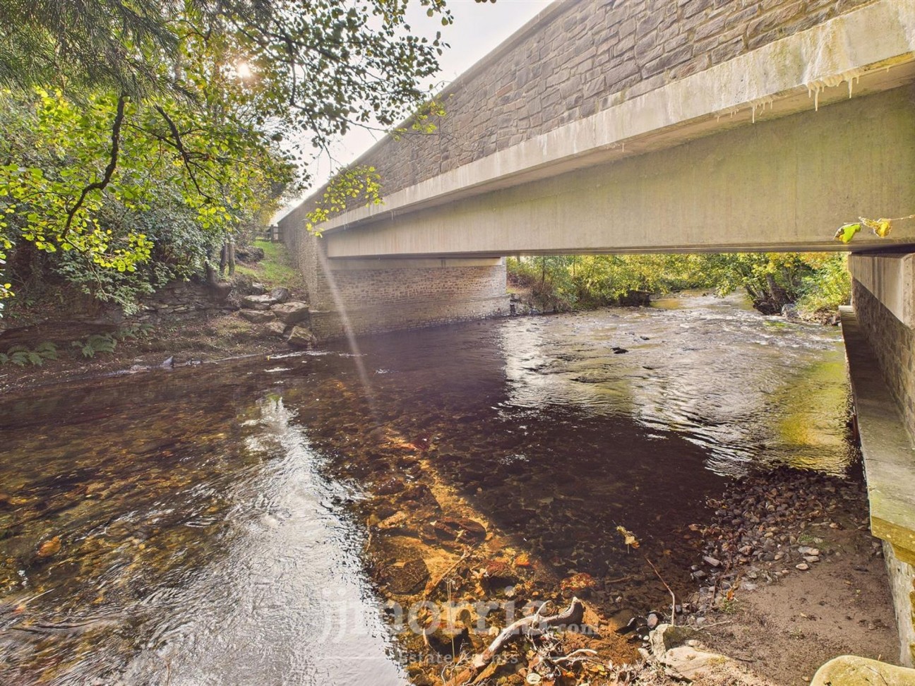 Felindre, Crymych, SA41