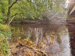 Felindre, Crymych, SA41