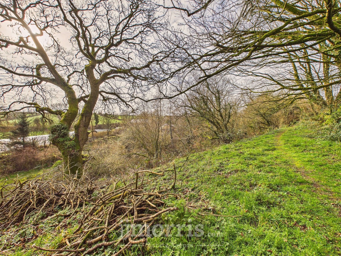 Eglwyswrw, Crymych, SA41