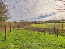 Eglwyswrw, Crymych, SA41