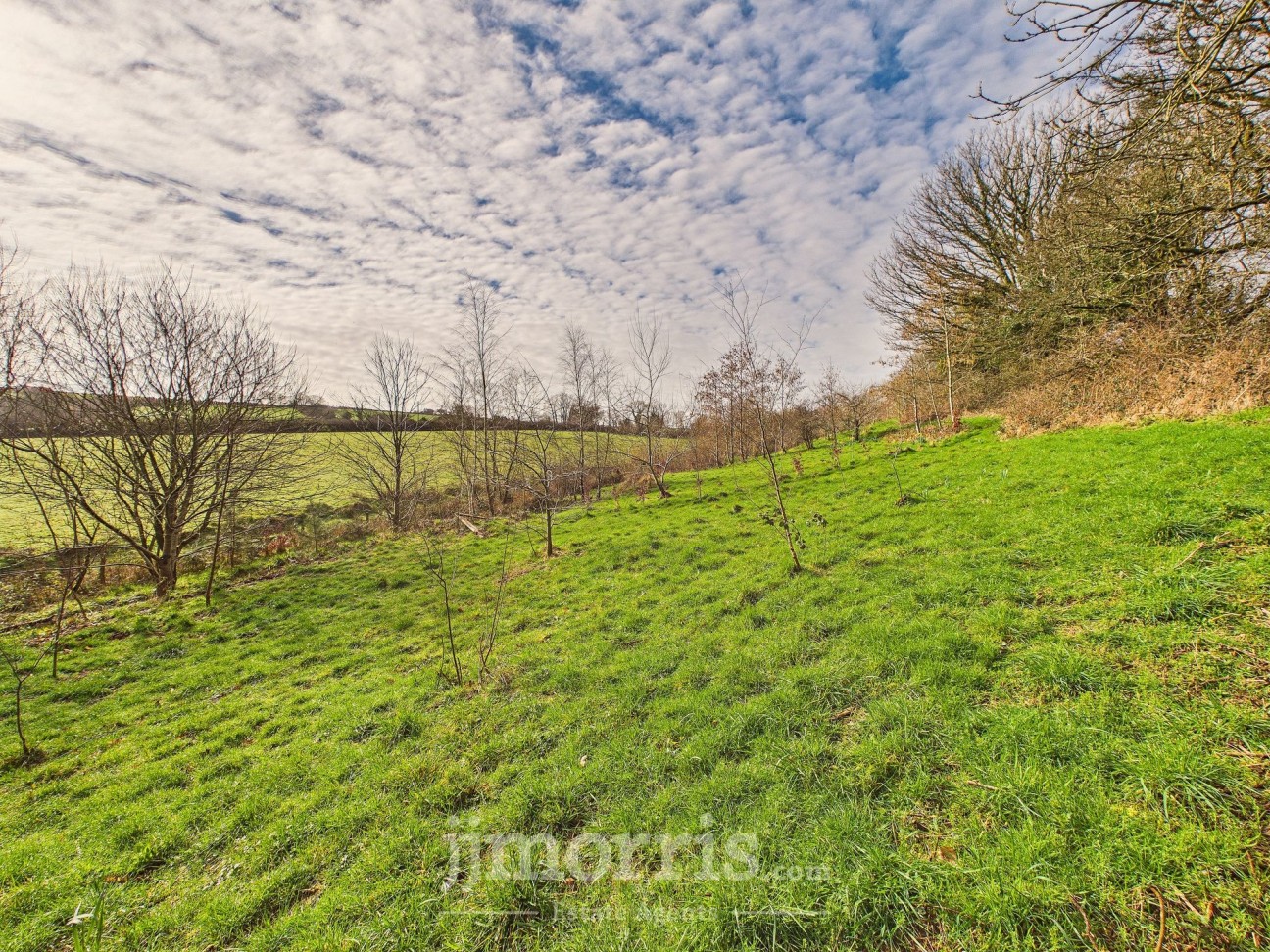 Eglwyswrw, Crymych, SA41