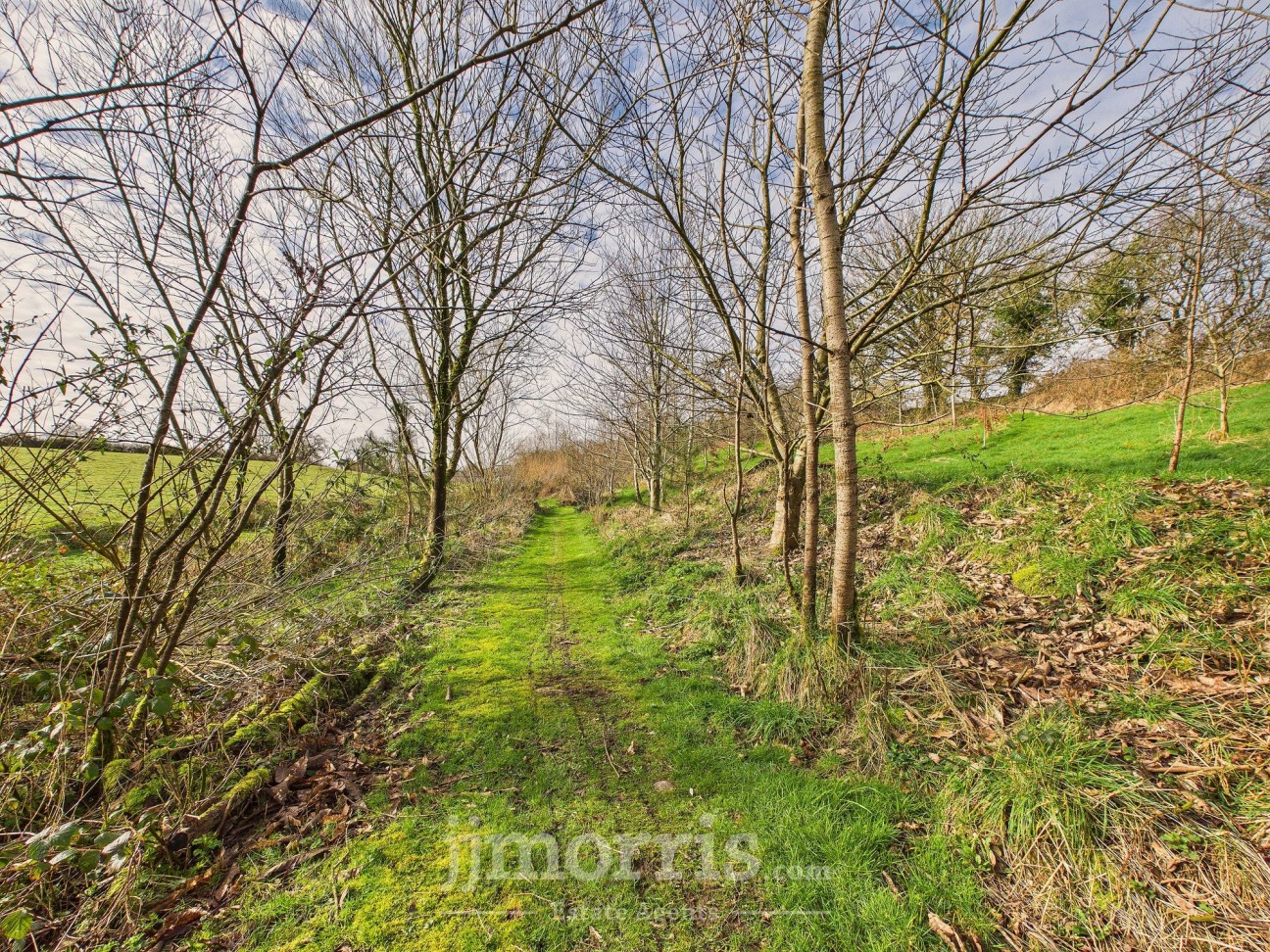 Eglwyswrw, Crymych, SA41