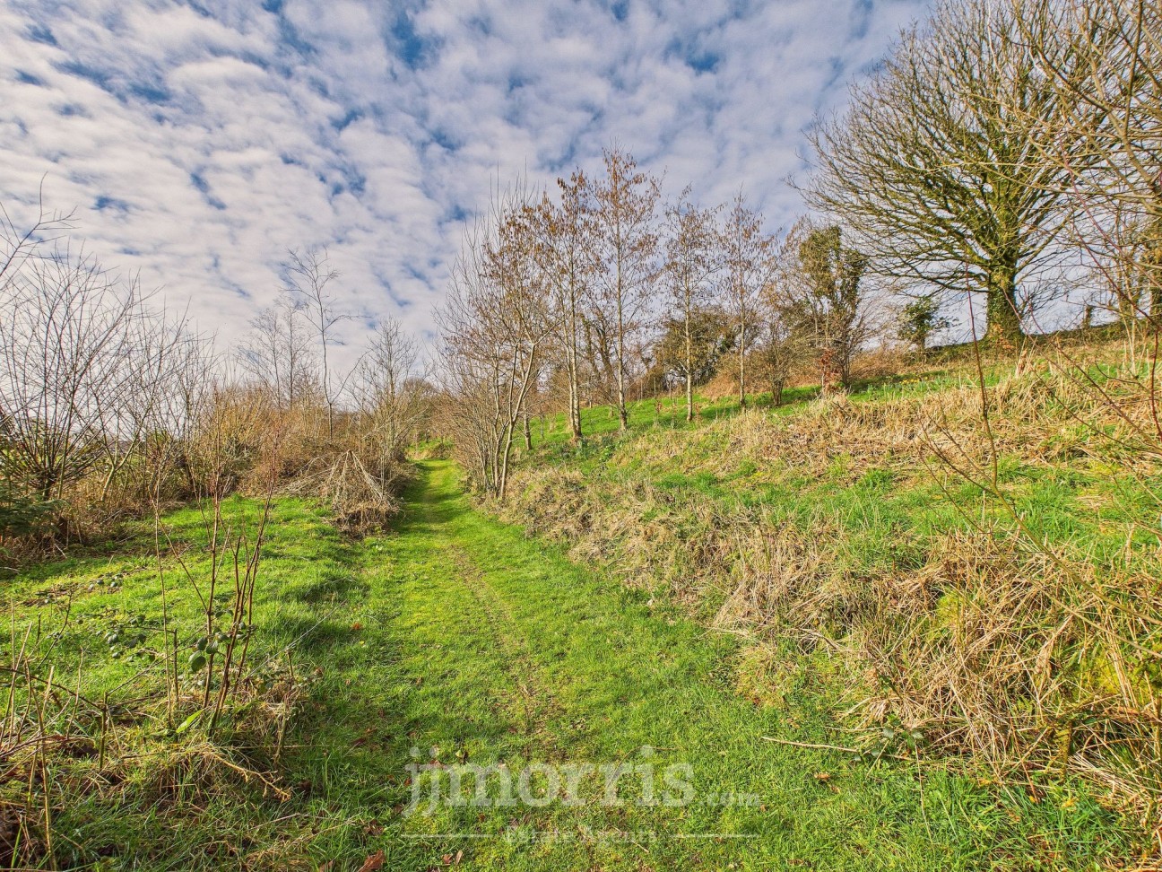 Eglwyswrw, Crymych, SA41