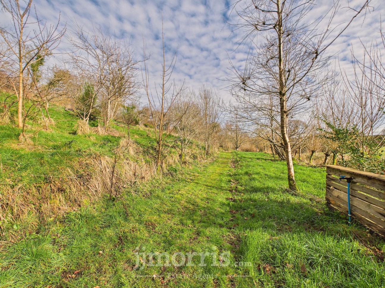 Eglwyswrw, Crymych, SA41