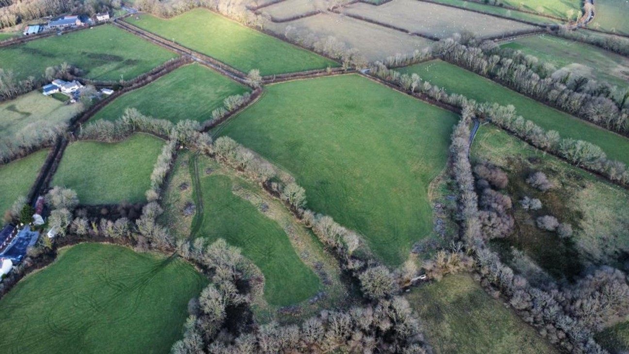 None, Llanfallteg, SA34