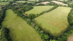 None, Llanfallteg, SA34