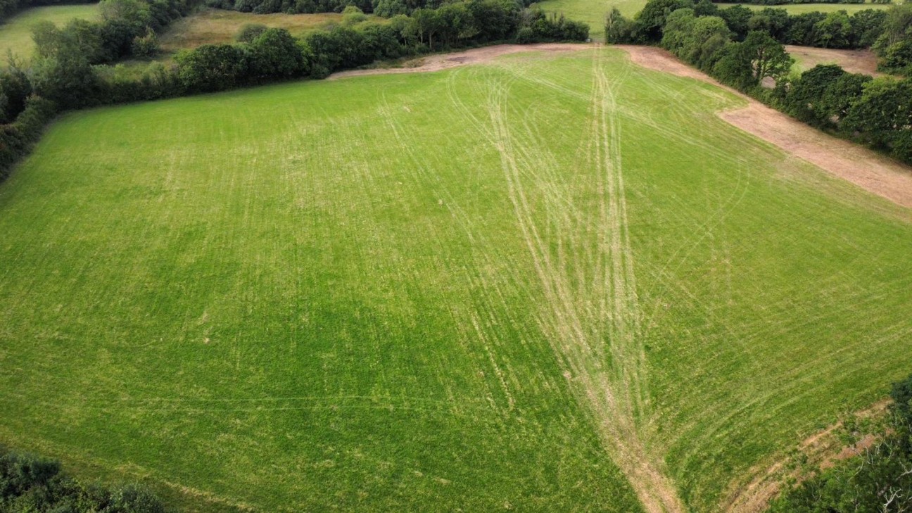 None, Llanfallteg, SA34