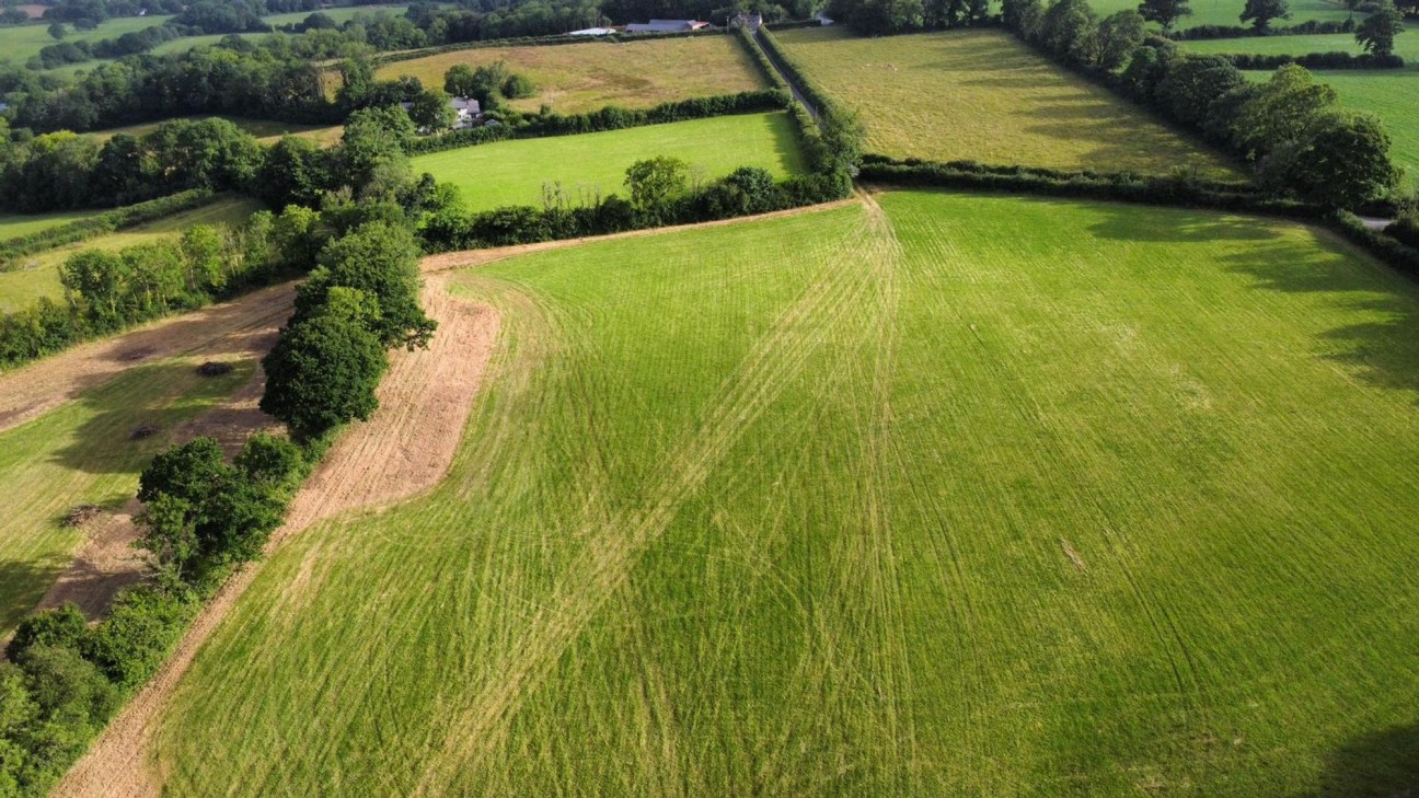 None, Llanfallteg, SA34