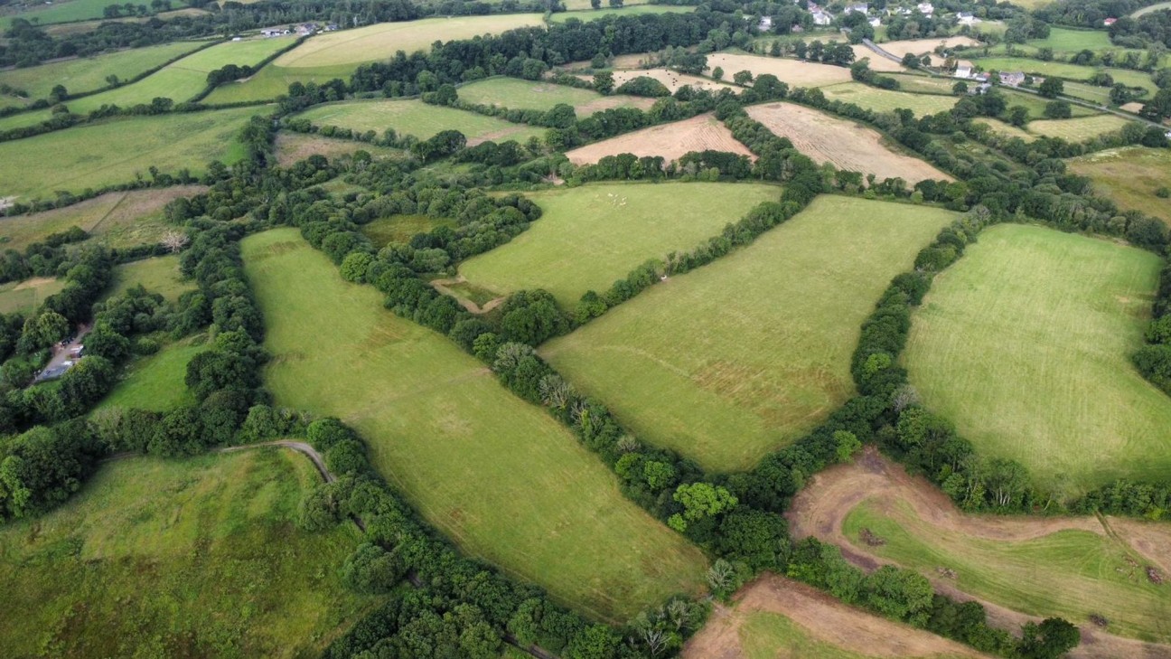 None, Llanfallteg, SA34