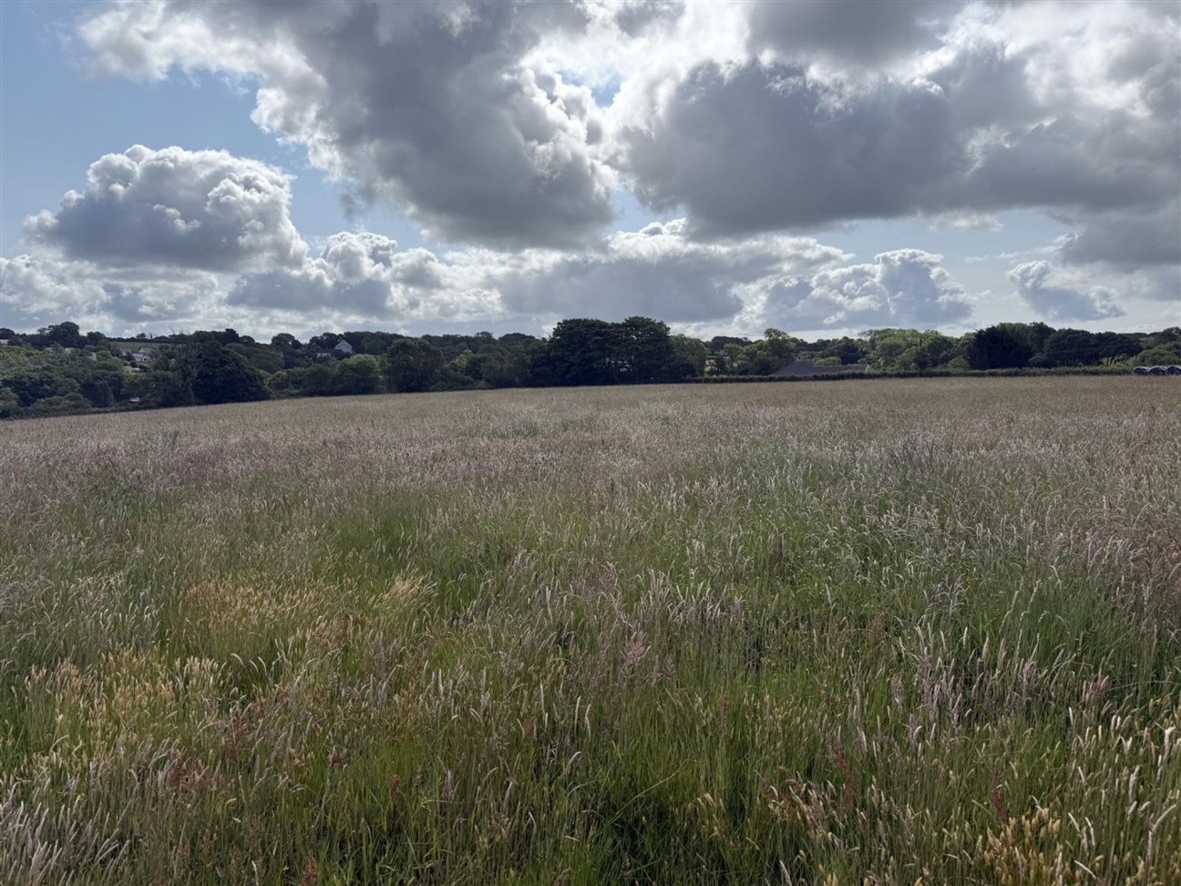 Castle Meadow, Narberth, SA67