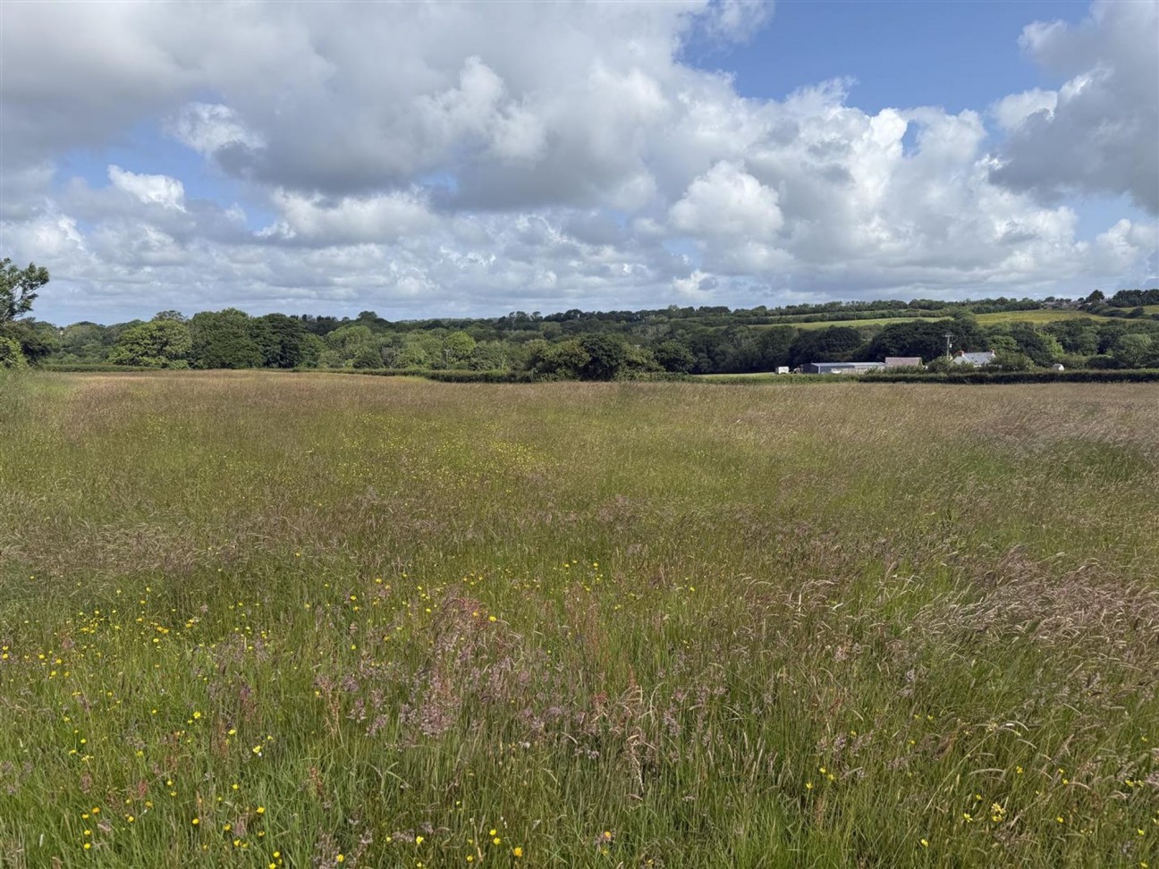 Castle Meadow, Narberth, SA67