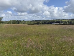 Castle Meadow, Narberth, SA67