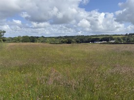 Castle Meadow, Narberth, SA67