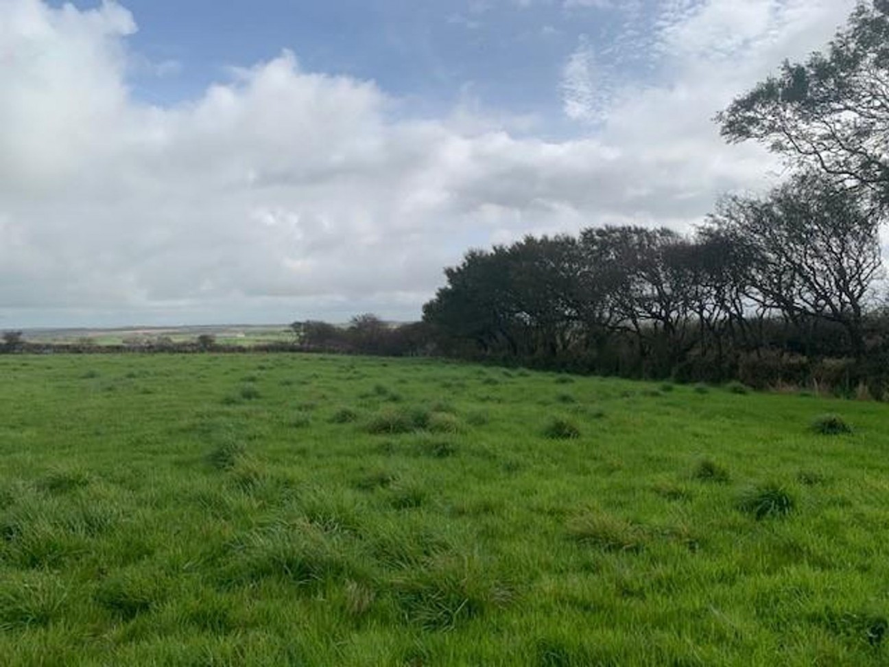 Solva, Haverfordwest, SA62