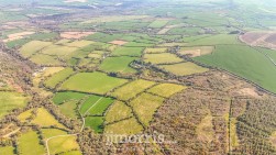 Dolpwll, Boncath, SA37