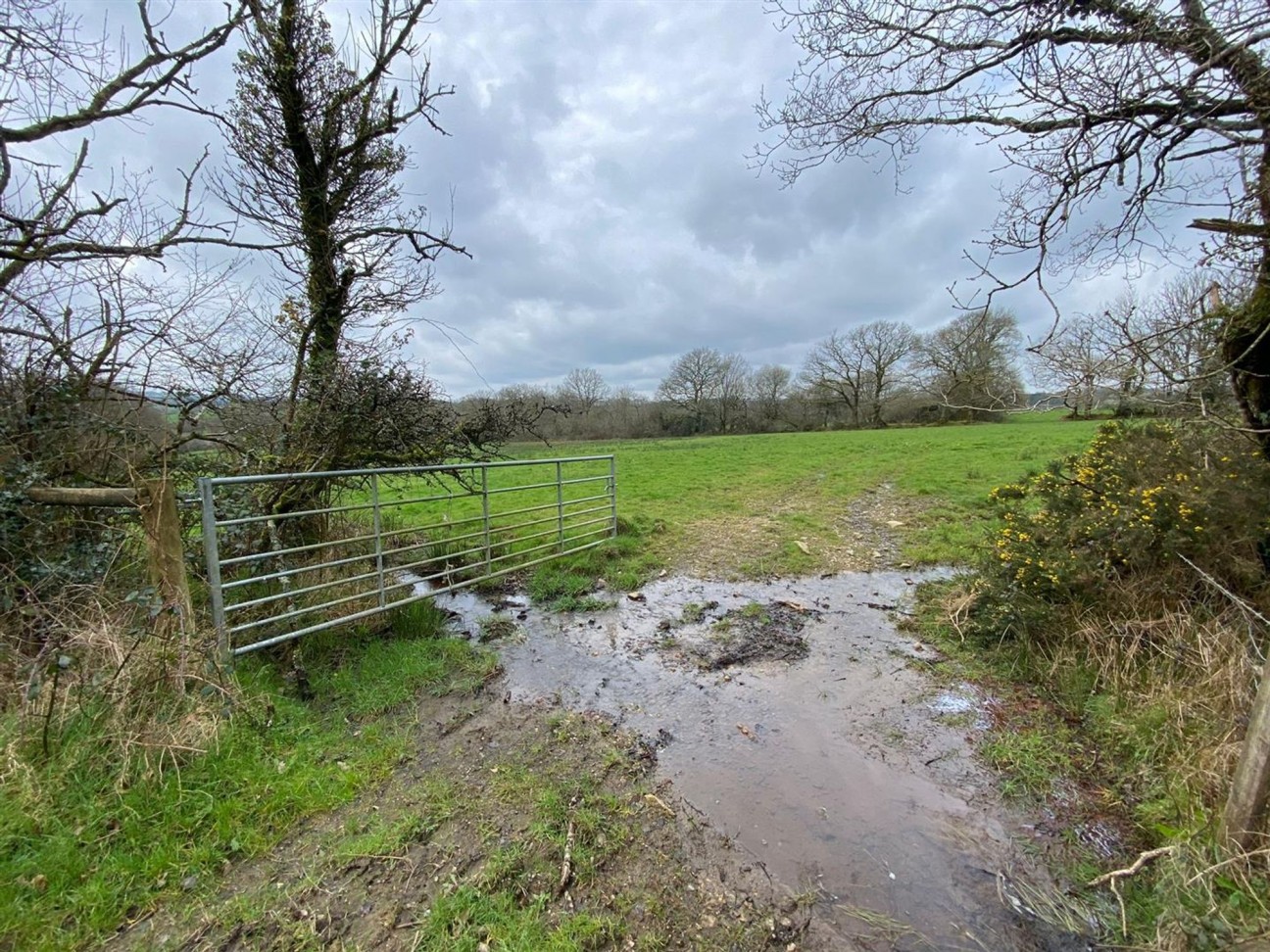 Llanfallteg, Whitland, SA34