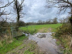 Llanfallteg, Whitland, SA34