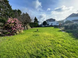 Dinas Cross, Newport, SA42