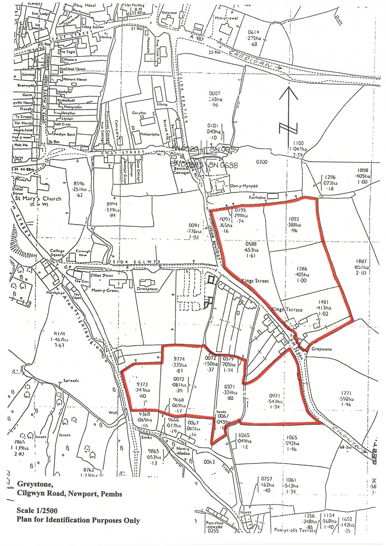 Cilgwyn Road, Newport, SA42