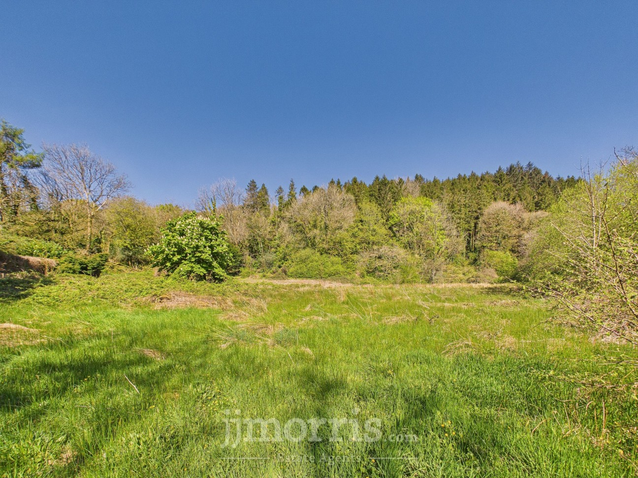 Llanycefn, Clynderwen, SA66