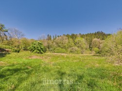 Llanycefn, Clynderwen, SA66