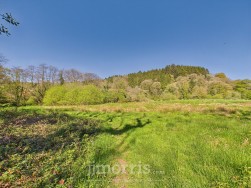 Llanycefn, Clynderwen, SA66