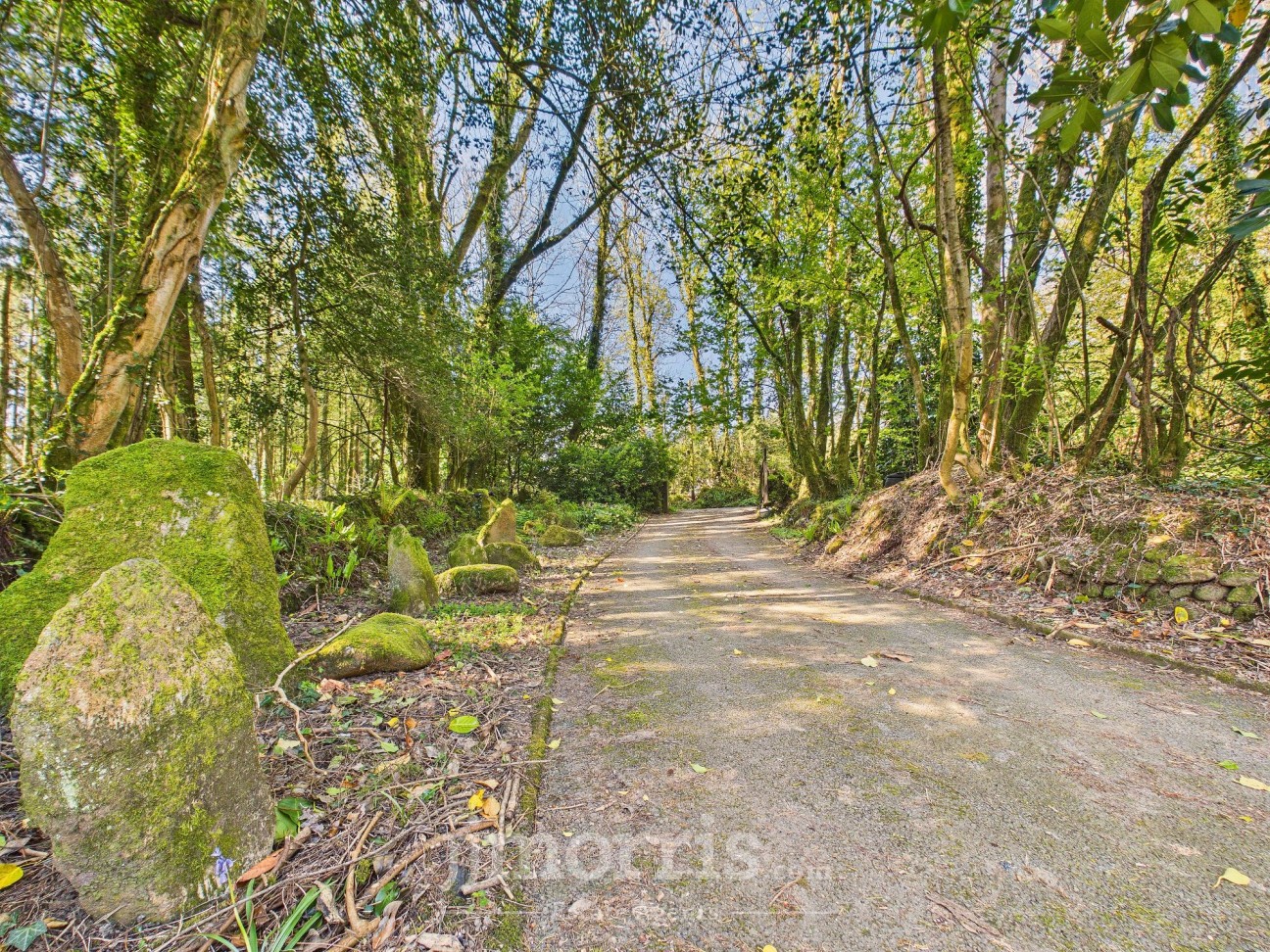 Llanycefn, Clynderwen, SA66