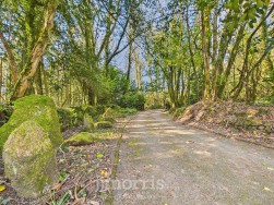 Llanycefn, Clynderwen, SA66