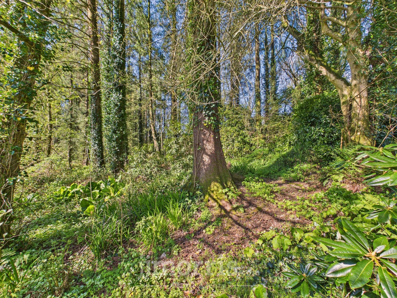 Llanycefn, Clynderwen, SA66
