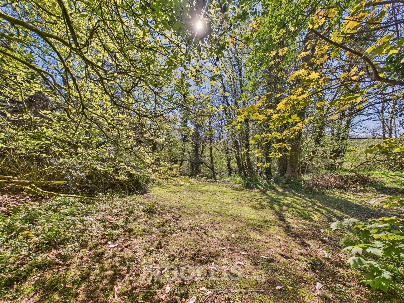 Llanycefn, Clynderwen, SA66