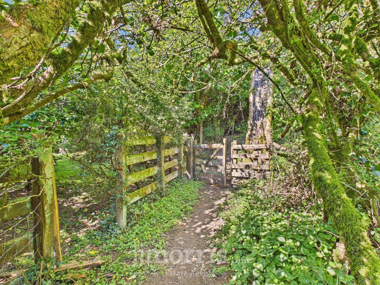Llanycefn, Clynderwen, SA66