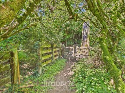 Llanycefn, Clynderwen, SA66