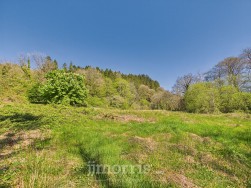 Llanycefn, Clynderwen, SA66