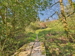 Llanycefn, Clynderwen, SA66