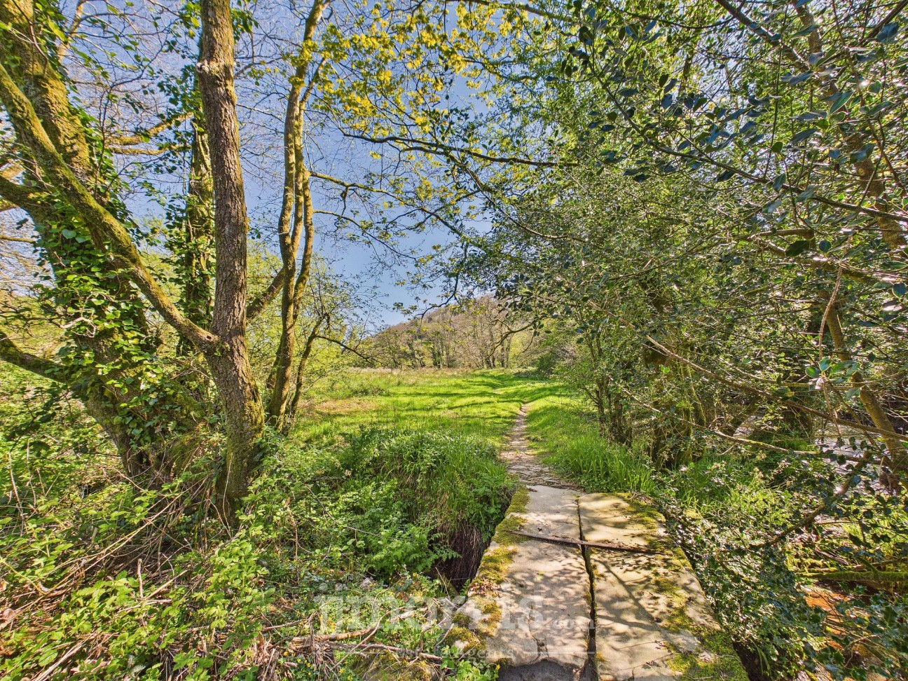 Llanycefn, Clynderwen, SA66